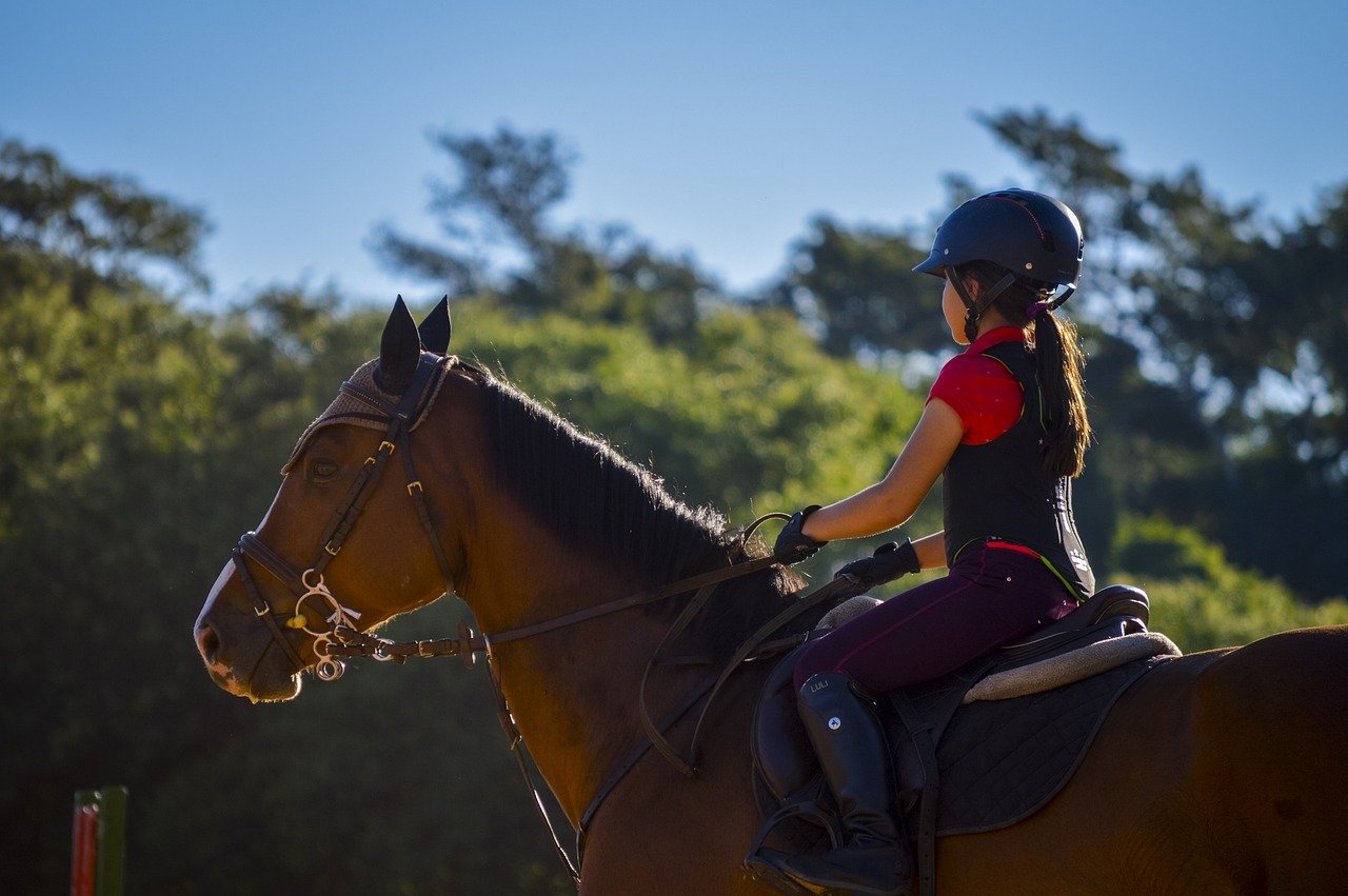 girl, horse, equine-5541310.jpg