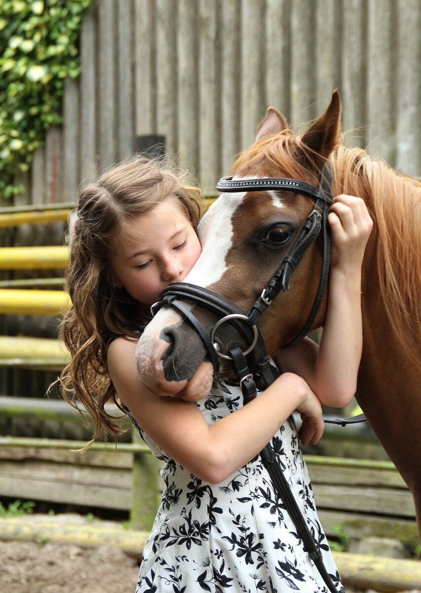 pony, girl, horse-2595144.jpg